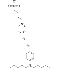 107610-19-5
