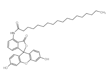 110698-53-8 110698-53-8