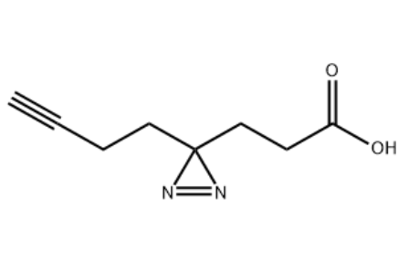 Alkyne-Diazirine-COOH