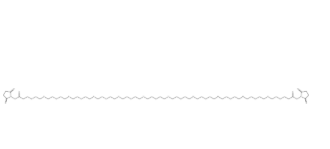 Bis-PEG21-NHS ester（CAS号：2221948-98-5）