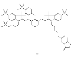 IRDye 800 NHS ester