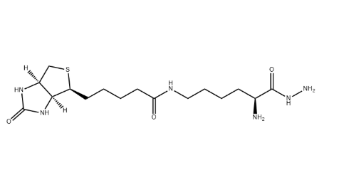 Dextran Gel（葡聚糖凝胶）