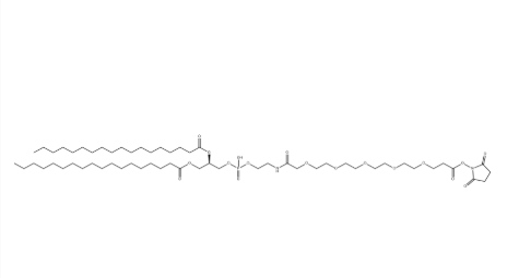 DSPE-PEG4-NHS ester