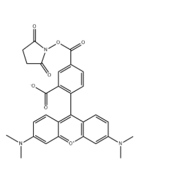 TAMRA Succinimidyl Ester TAMRA Succinimidyl Ester