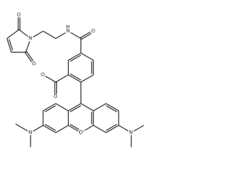 5-TAMRA-mal(CAS号:1370354-52-1) 5-TAMRA-mal(CAS号:1370354-52-1)