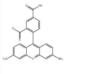 5(6)-Carboxyrhodamine 110 5(6)-Carboxyrhodamine 110