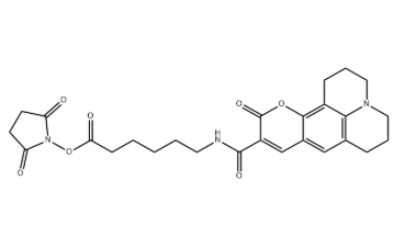 Coumarin 343 X NHS ester Coumarin 343 X NHS ester