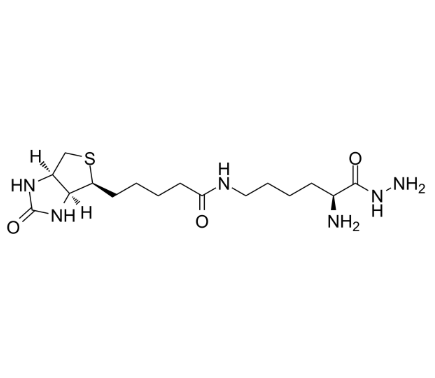 N-生物素酰基-L-赖氨酸酰肼	 
