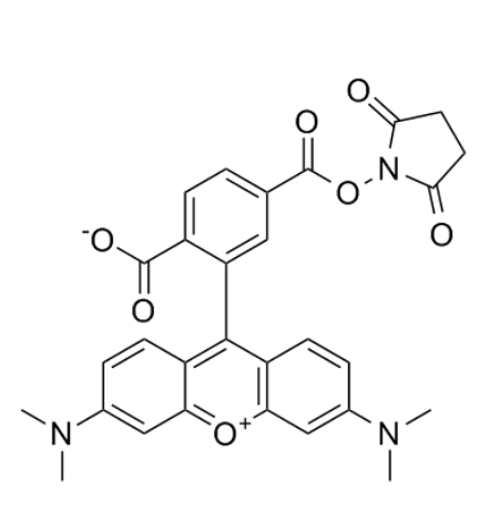 6-TAMRA-SE 6-TAMRA-SE