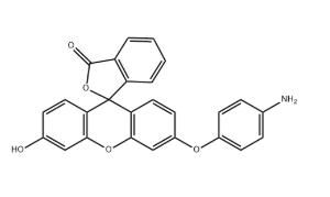 Aminophenyl fluorescein（APF）