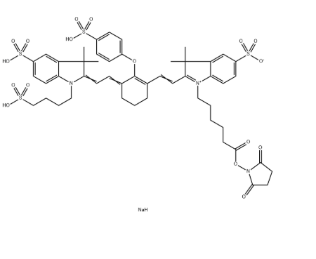 IRDye 800CW NHS Ester