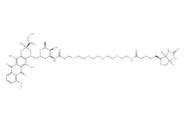 3026061-31-1 3026061-31-1