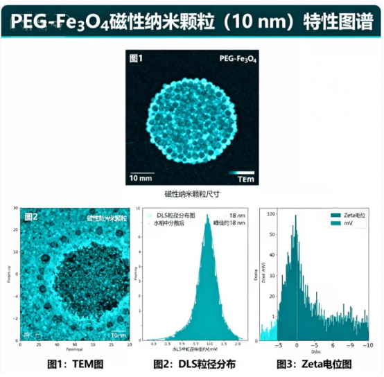 PEG修饰无机纳米颗粒 PEG修饰无机纳米颗粒