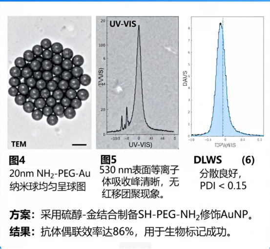 PEG修饰无机纳米颗粒 PEG修饰无机纳米颗粒