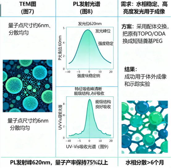 COOH-PEG 量子点 COOH-PEG 量子点