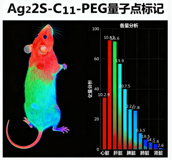 PEG-MSN-SS PEG-MSN-SS
