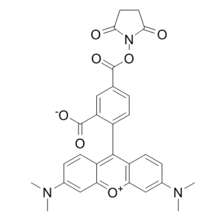 TAMRA Succinimidyl Ester