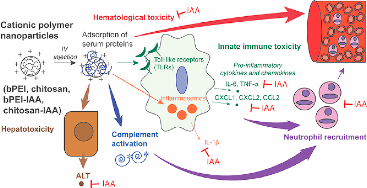 1764818002360042.png image.png