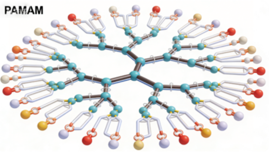 PAMAM树枝状大分子定制合成