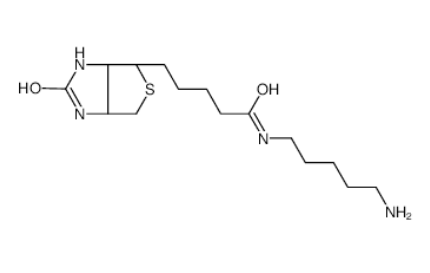 生物素-C5-胺 生物素-C5-胺