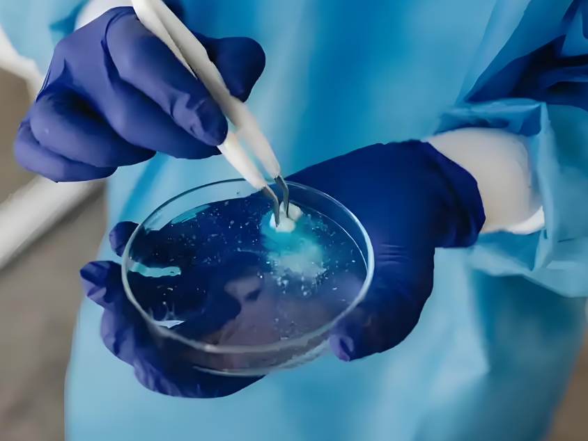 脂质体包裹阿奇霉素、2-硝基咪唑衍生物（6-NIH）和一氧化氮（NO）供体