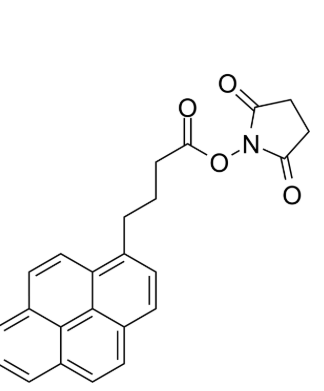 芘丁酸酯-活性酯基 芘丁酸酯-活性酯基