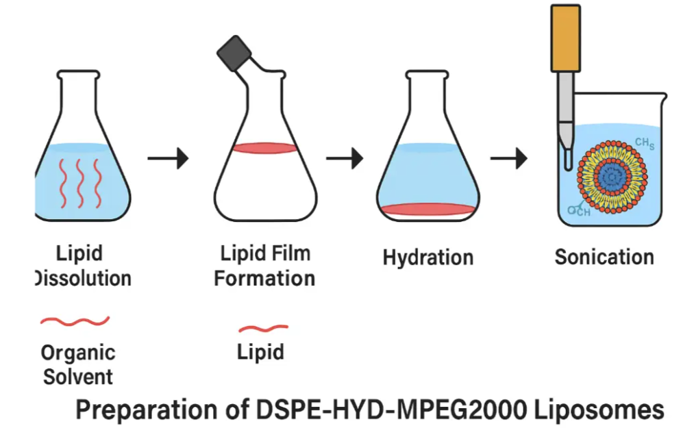 脂质体制备 脂质体制备