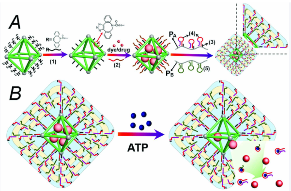 1765332611871256.png image.png