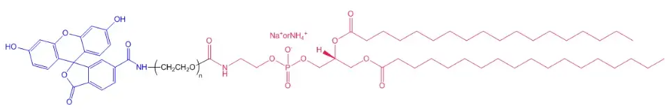 DSPE-PEG2000-FITC DSPE-PEG2000-FITC