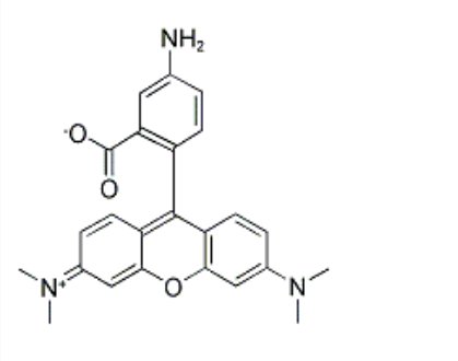 5-氨基四甲基罗丹明 5-氨基四甲基罗丹明