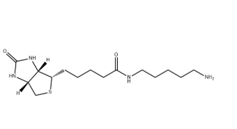 Biotin-C5-amine