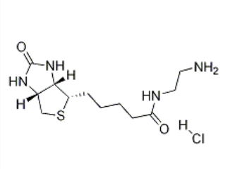 Biotin-EA (HCl)