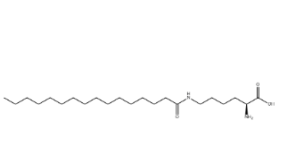 N6-(1-oxohexadecyl)-L-lysine
