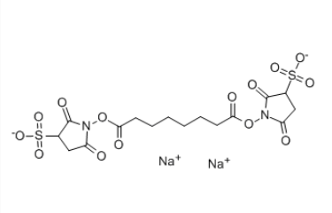 BS3 Cross linker(diso dium)