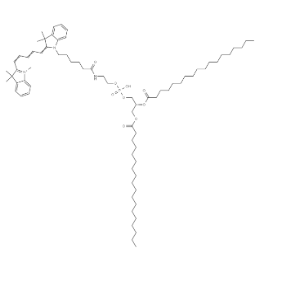 Cyanine5-DSPE