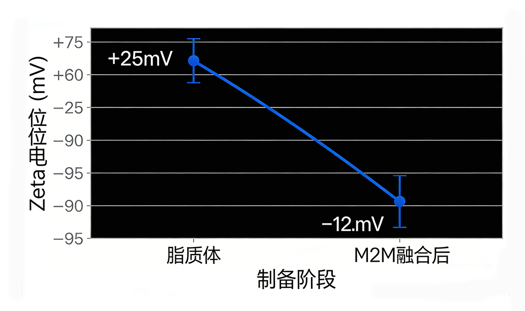巨噬细胞膜融合脂质体载药 巨噬细胞膜融合脂质体载药