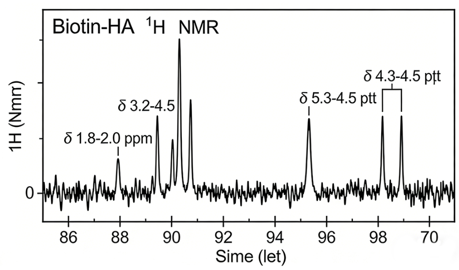 生物素修饰的透明质酸 生物素修饰的透明质酸