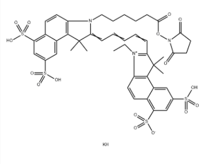Sulfo Cyanine5.5 NHS