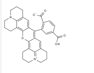 6-Rhodamine X acid