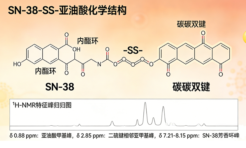 SN-38-SS-亚油酸