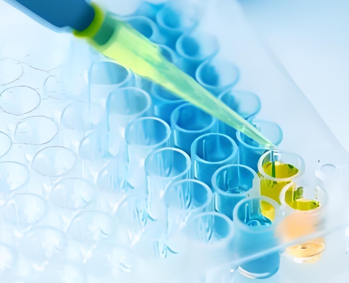 负载藤黄酸的聚合物胶束