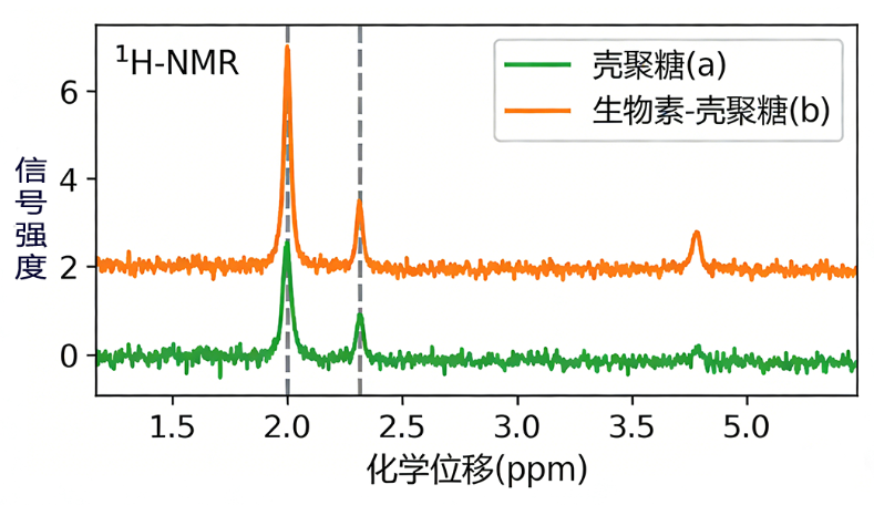 生物素修饰壳聚糖
