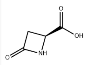 2-Azetidinecarboxylicacid 2-Azetidinecarboxylicacid