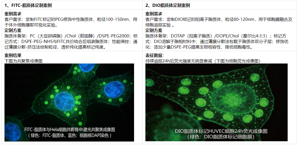 荧光标记脂质体