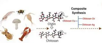 壳聚糖基温敏复合材料 壳聚糖基温敏复合材料