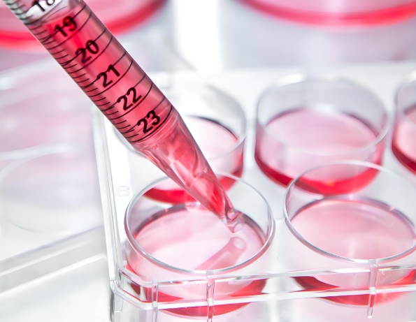 金纳米笼 金纳米笼