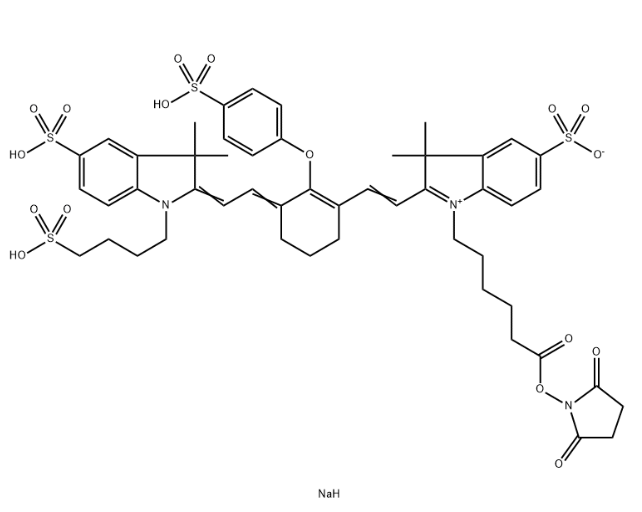 IRDye 800 NHS,956579-01-4 IRDye 800 NHS,956579-01-4