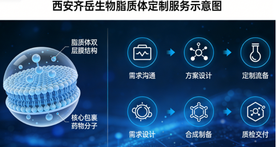 脂质体定制流程