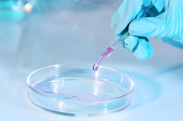 病毒基因组DNA/RNA提取试剂盒（磁珠法）