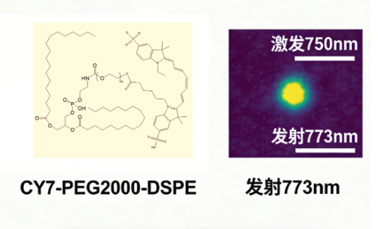 CY7-PEG2000-DSPE CY7-PEG2000-DSPE